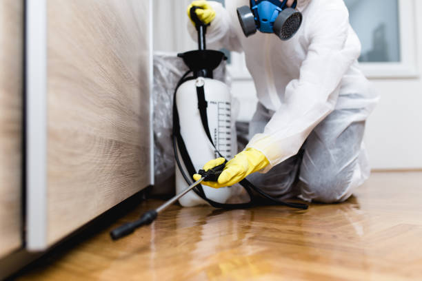 Wasp Removal Services in Monmouth Beach, NJ