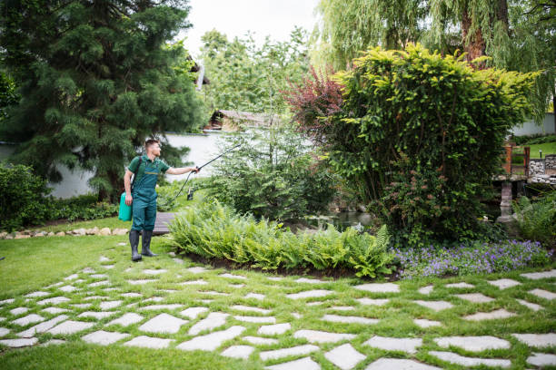Professional Pest Control in Monmouth Beach, NJ