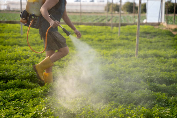 Best Best Pest Control Companies  in Monmouth Beach, NJ