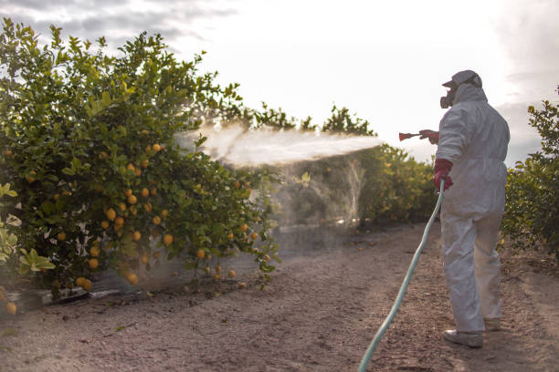 Best Residential Pest Control  in Monmouth Beach, NJ