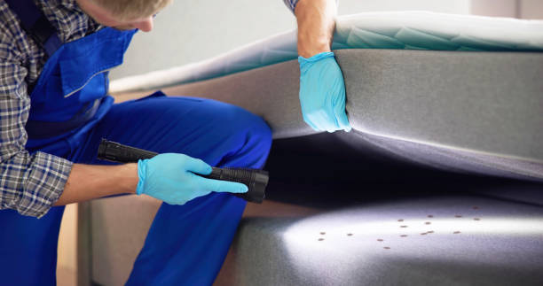 Best Residential Pest Control  in Monmouth Beach, NJ