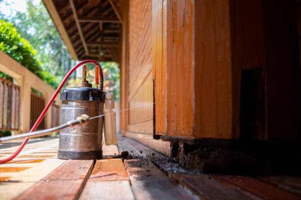 Best Wasp Removal Services  in Monmouth Beach, NJ
