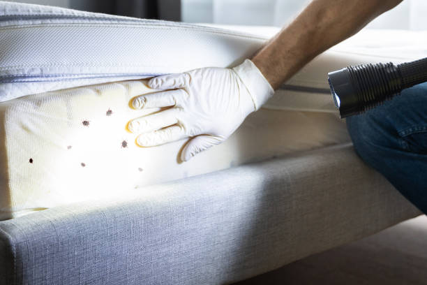 Best Pest Inspection Near Me  in Monmouth Beach, NJ