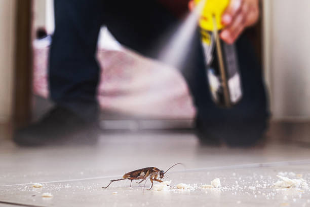 Best Bed Bug Extermination  in Monmouth Beach, NJ