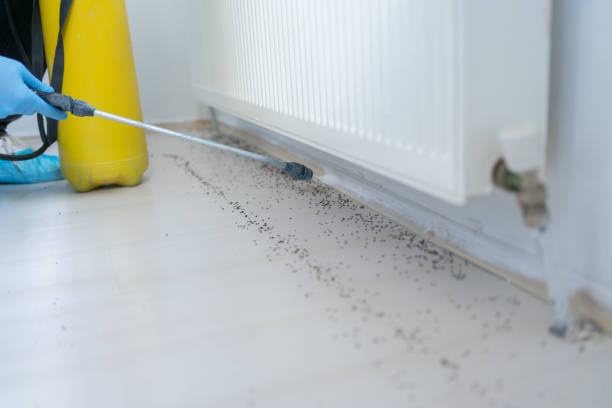 Insect Control in Monmouth Beach, NJ
