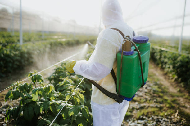Best Wildlife Control Services  in Monmouth Beach, NJ
